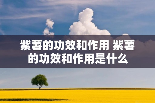 紫薯的功效和作用 紫薯的功效和作用是什么