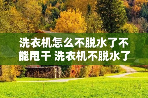 洗衣机怎么不脱水了不能甩干 洗衣机不脱水了是什么原因?