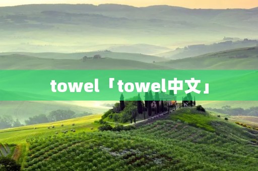 towel「towel中文」