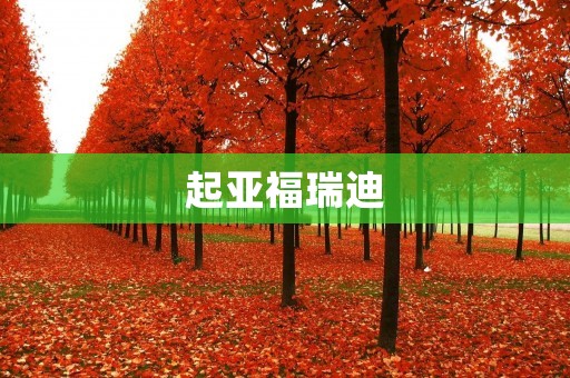 起亚福瑞迪:突破常规的出色表现 起亚福瑞迪:突破常规的出色表现