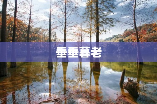 垂垂暮老：时光的流转见证智慧与尊贵