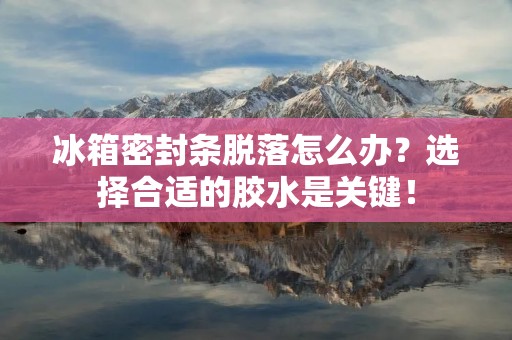 冰箱密封条脱落怎么办？选择合适的胶水是关键！