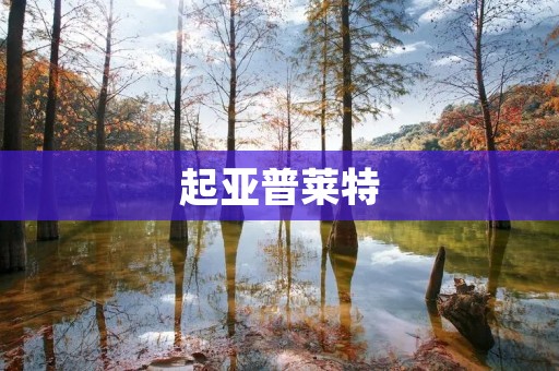 起亚普莱特:一款创新科技与豪华品质的完美结合 起亚普莱特:一款创新科技与豪华品质的完美结合