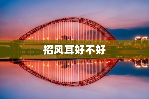 招风耳好不好：为你揭秘这一特殊外貌特征的优势与劣势