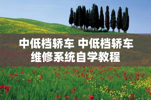 中低档轿车 中低档轿车维修系统自学教程 中低档轿车 中低档轿车维修系统自学教程