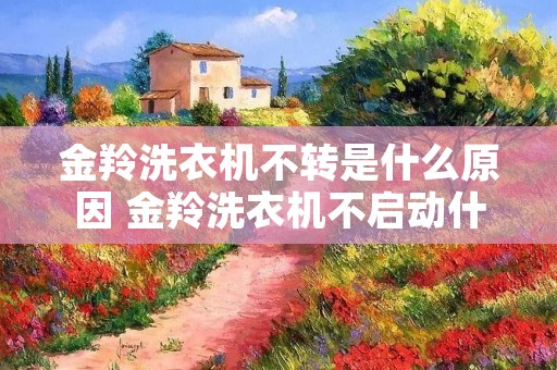 金羚洗衣机不转是什么原因 金羚洗衣机不启动什么原因