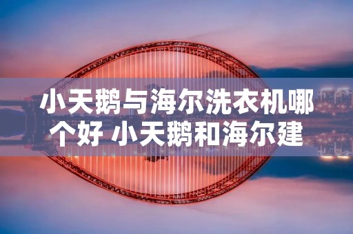 小天鹅与海尔洗衣机哪个好 小天鹅和海尔建议买哪个