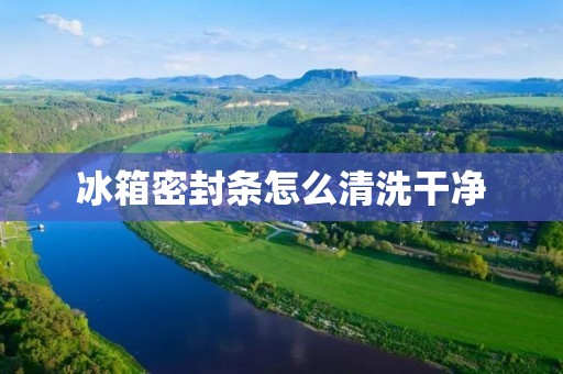 冰箱密封条怎么清洗干净 冰箱密封条怎么清洗干净