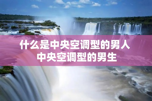 什么是中央空调型的男人 中央空调型的男生