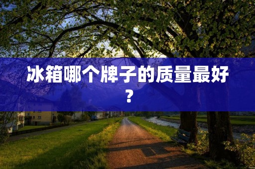 冰箱哪个牌子的质量最好?