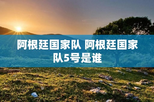 阿根廷国家队 阿根廷国家队5号是谁