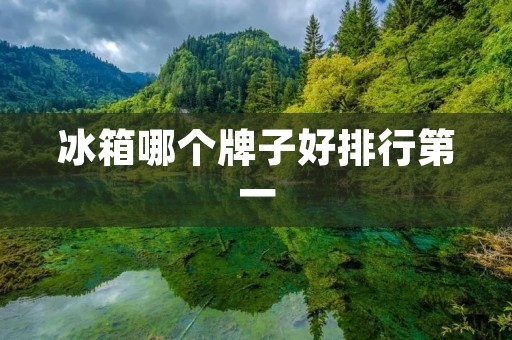 冰箱哪个牌子好排行第一：详细解析