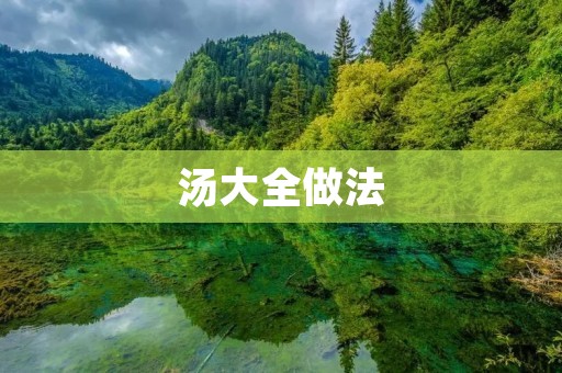 汤大全做法：让你尽享美味的汤品盛宴