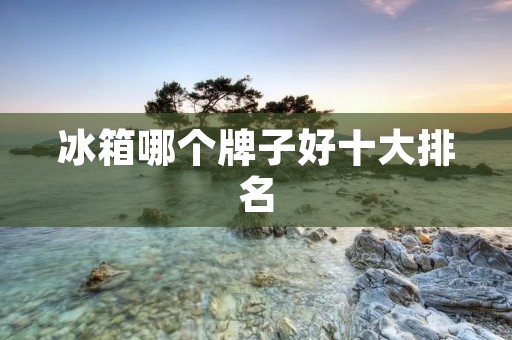 冰箱哪个牌子好十大排名:权威评测揭晓 冰箱哪个牌子好十大排名:权威评测揭晓