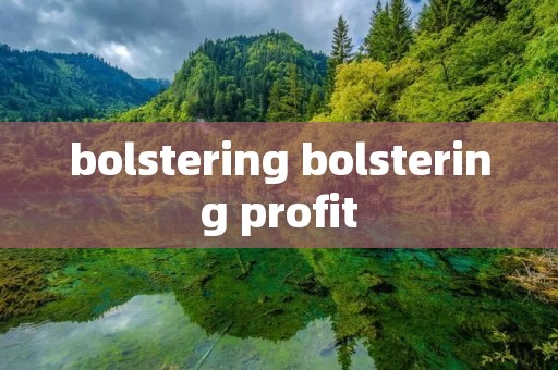 bolstering bolstering profit