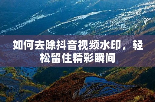 如何去除抖音视频水印,轻松留住精彩瞬间