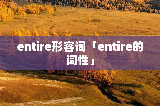 entire形容词「entire的词性」 entire形容词「entire的词性」