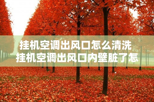 挂机空调出风口怎么清洗 挂机空调出风口内壁脏了怎么办 挂机空调出风口怎么清洗 挂机空调出风口内壁脏了怎么办