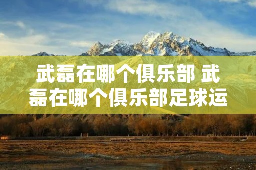 武磊在哪个俱乐部 武磊在哪个俱乐部足球运动员