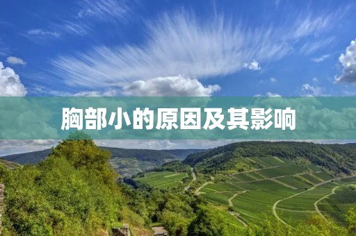 胸部小的原因及其影响