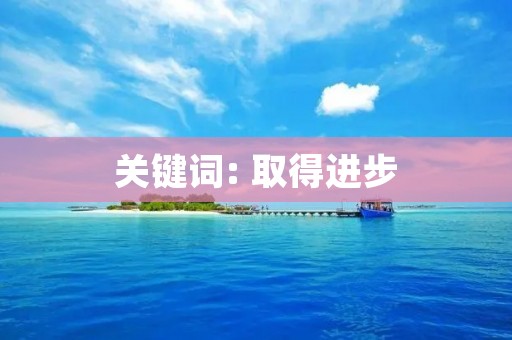 关键词: 取得进步