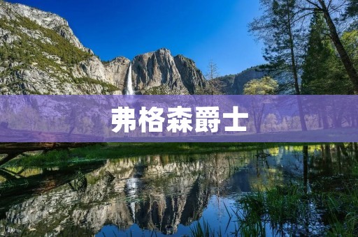 弗格森爵士:英国足球教练界的传奇 弗格森爵士:英国足球教练界的传奇