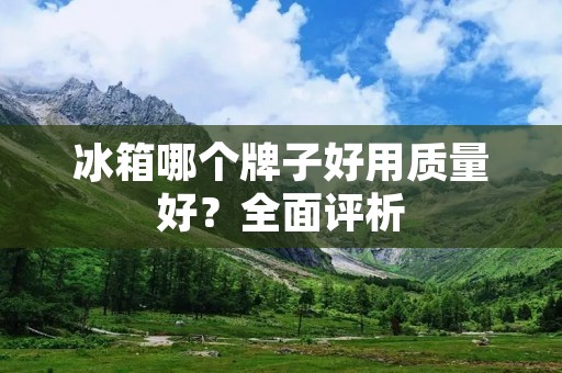 冰箱哪个牌子好用质量好?全面评析 冰箱哪个牌子好用质量好?全面评析