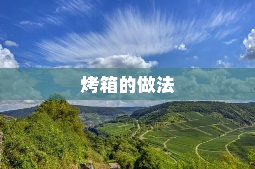 烤箱的做法:让你轻松享受美食的烹饪利器