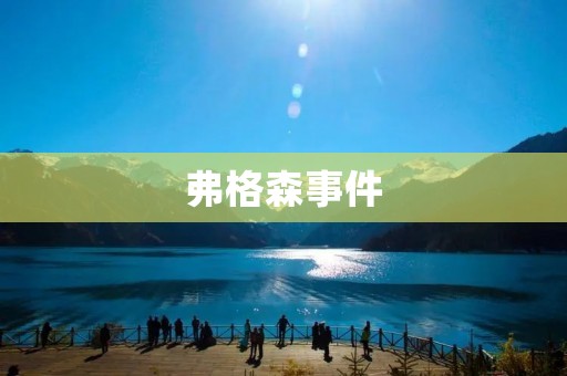 弗格森事件:种族冲突下的社会动荡 弗格森事件:种族冲突下的社会动荡