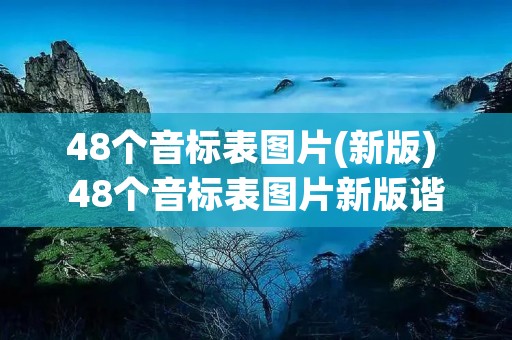 48个音标表图片(新版) 48个音标表图片新版谐音