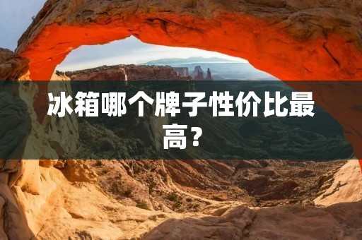 冰箱哪个牌子性价比最高？