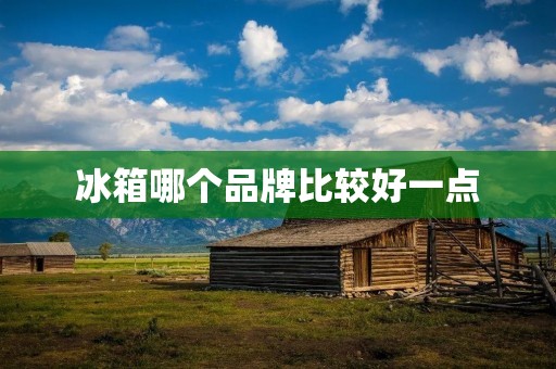 冰箱哪个品牌比较好一点:全面评估与推荐 冰箱哪个品牌比较好一点:全面评估与推荐