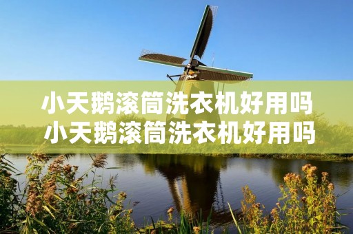 小天鹅滚筒洗衣机好用吗 小天鹅滚筒洗衣机好用吗知乎 小天鹅滚筒洗衣机好用吗 小天鹅滚筒洗衣机好用吗知乎