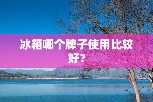 冰箱哪个牌子使用比较好? 冰箱哪个牌子使用比较好?