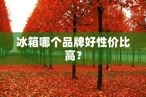 冰箱哪个品牌好性价比高? 冰箱哪个品牌好性价比高?
