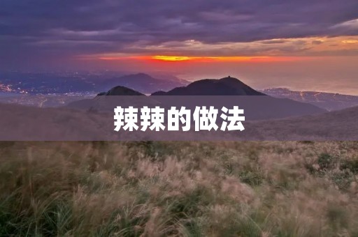 辣辣的做法:**口味的制作方法与技巧 辣辣的做法:**口味的制作方法与技巧