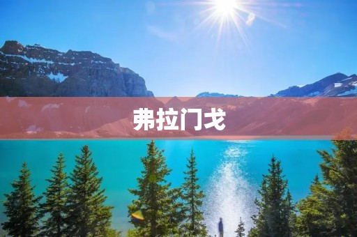 弗拉门戈:巴西文化的热情之舞 弗拉门戈:巴西文化的热情之舞