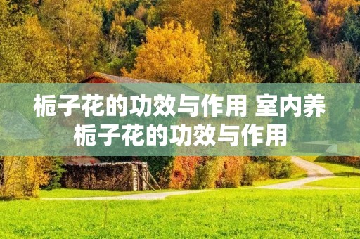 栀子花的功效与作用 室内养栀子花的功效与作用