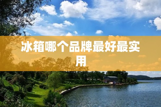 冰箱哪个品牌最好最实用 冰箱哪个品牌最好最实用