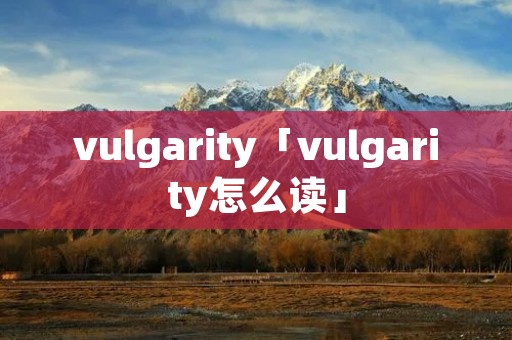 vulgarity「vulgarity怎么读」