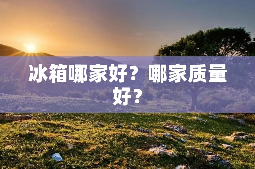 冰箱哪家好?哪家质量好? 冰箱哪家好?哪家质量好?