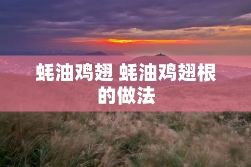 蚝油鸡翅 蚝油鸡翅根的做法 蚝油鸡翅 蚝油鸡翅根的做法