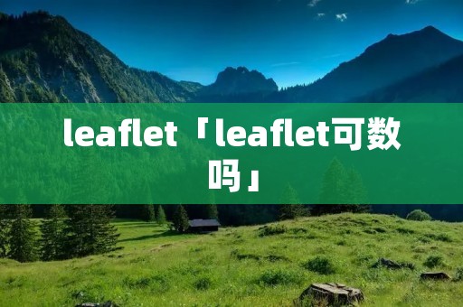 leaflet「leaflet可数吗」
