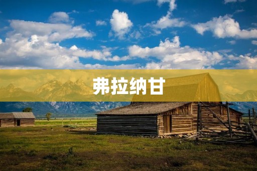 弗拉纳甘：探寻古老文明的神秘之地