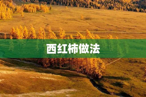 西红柿做法：美味又营养的西红柿佳肴