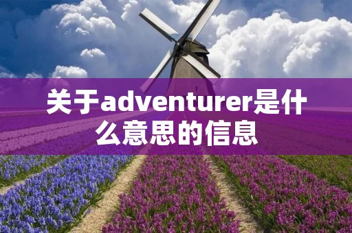关于adventurer是什么意思的信息 关于adventurer是什么意思的信息