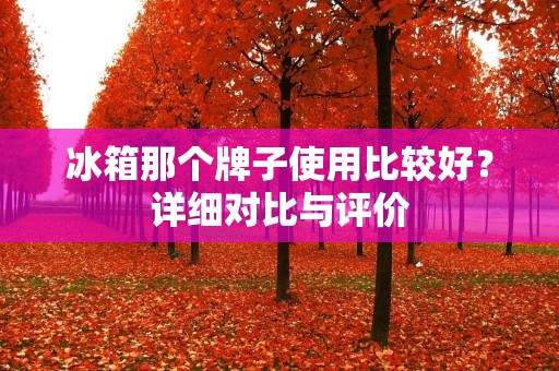 冰箱那个牌子使用比较好?详细对比与评价 冰箱那个牌子使用比较好?详细对比与评价