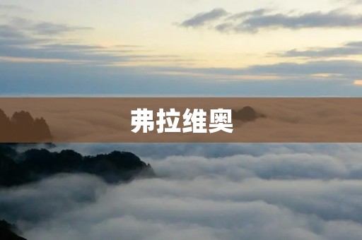 弗拉维奥:探寻足球世界的传奇 弗拉维奥:探寻足球世界的传奇