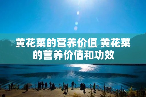 黄花菜的营养价值 黄花菜的营养价值和功效