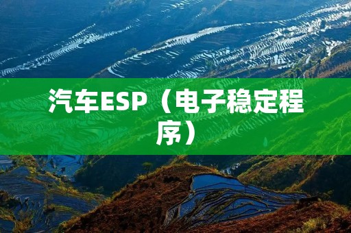 汽车ESP（电子稳定程序）：保驾护航，为你的行车安全提供可靠保障